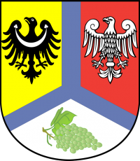 Logo Powiat zielonogórski