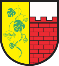 Logo Witnica